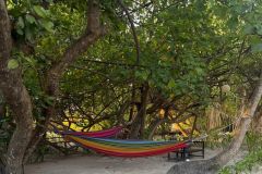 Nature-Travel-13