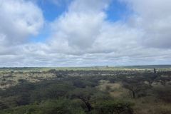 Nature-Travel-22