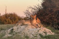 Nature-Travel-23
