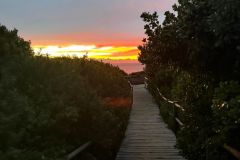 Nature-Travel-34
