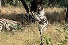 Nature-Travel-37
