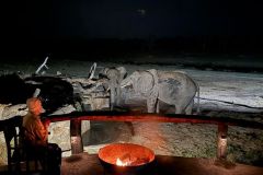 Nature-Travel-39