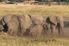 Nature-Travel-41