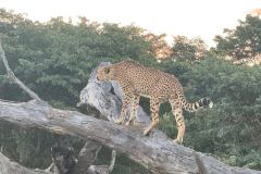 Nature-Travel-42