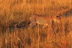 Nature-Travel-43