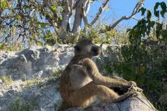 Nature-Travel-45