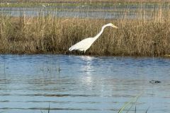 Nature-Travel-48