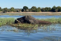 Nature-Travel-49
