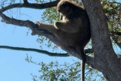 Nature-Travel-50
