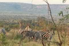 Nature-Travel-59