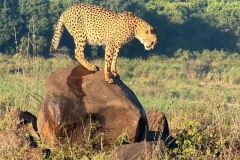 Nature-Travel-60