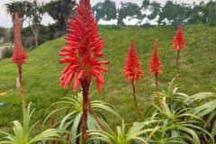 Nature-Travel-62