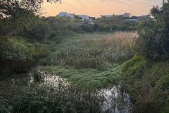 Nature-Travel-64