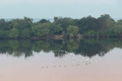 Nature-Travel-71