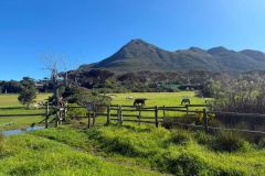 Nature-Travel-76