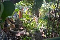 Nature-Travel-77