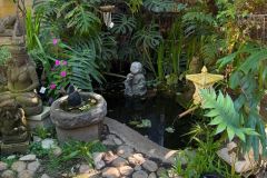 Nature-Travel-81