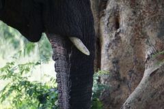 Nature-Travel-85