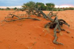 Nature-Travel-86