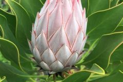 Nature-Travel-90