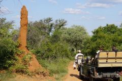 Nature-Travel-95