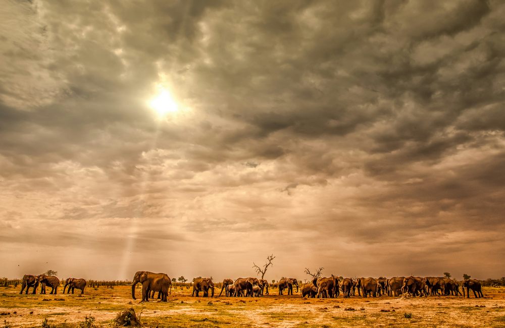 Botswana
