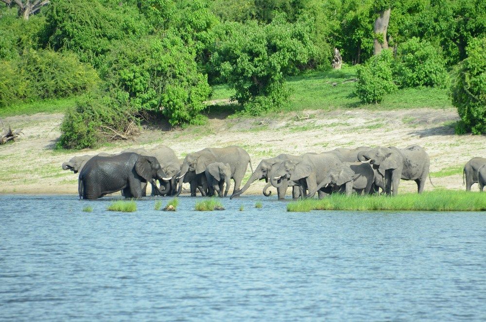 Lower Zambezi National Park