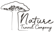Nature Travel Through Southern Africa | Helen Malisan Tour and Wildlife Guide
