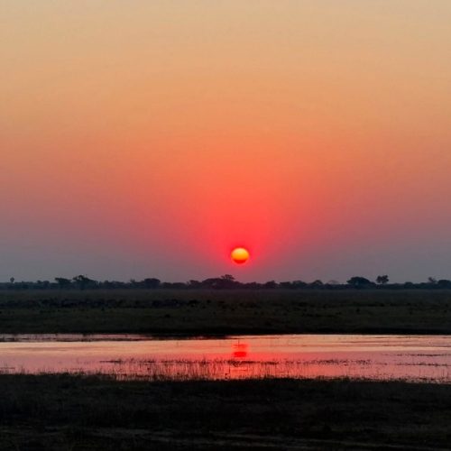 Nature Travel Through Southern Africa | Helen Malisan Tour and Wildlife Guide
